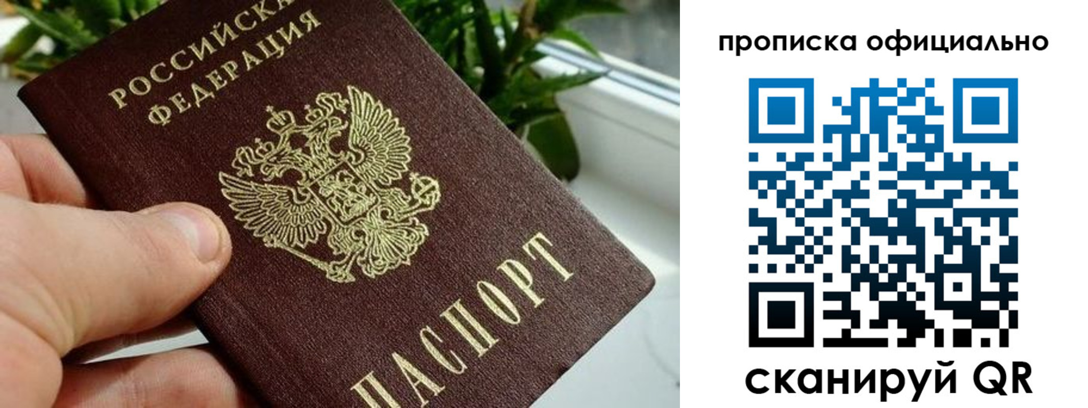 прописка поиск в Пролетарске